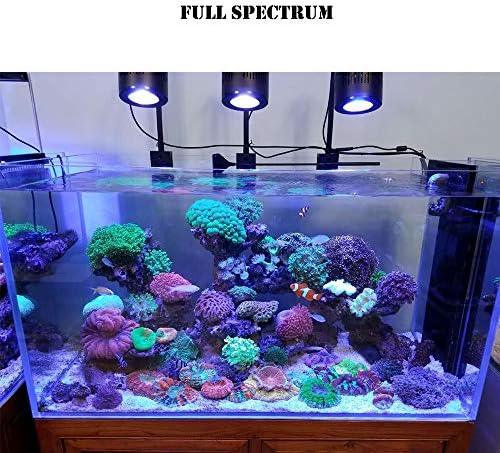 スポンサー プロダクト アクアリウム ライト Led Asta 小型水槽 4チャンネル調光 サンゴ 水槽用 照明 リモコン付き 観賞魚飼育 グースネック式 海水 B075zrf7gg 3 351円 人気海外一番 100 品質保証 全品送料無料 即日出荷 Sale開催中 スポンサー プロダクト アクアリウム ライト Led Asta 小型水槽 4チャンネル調光 サンゴ 水槽用 照明 リモコン付き 観賞魚飼育 グースネック式 海水 B075zrf7gg 3 351円 人気海外一番 100 品質保証 全品送料無料 即日出荷 Sale開催中