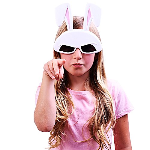 Sunstaches Instant Costume Sunglasses, Secret Life of Pets Snowball