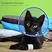 PETBABA Cat Cone Collar, to Stop Licking, Recovery Elizabethan After Surgery, Clear Soft Neck E-Collar, Not Block Vision, for Kitten Puppy Dog Pet in Surgery Remedy - M in Blue