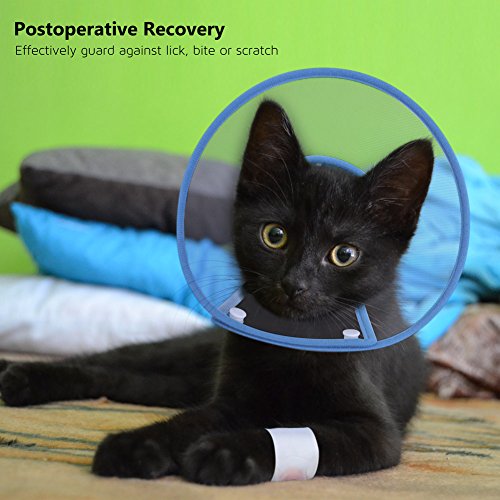 PETBABA Cat Cone Collar in Recovery, Clear Elizabethan Not Block Vision, Soft Padded E-Collar Protect Neck, Suitable Kitten Puppy Dog Pet in Surgery Remedy Grooming - S in Blue