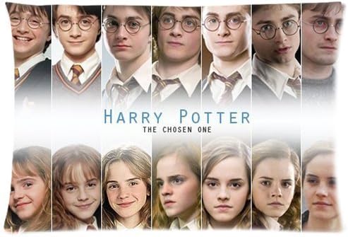 Harry Potter Hermione Grangerr Pillow Custom Zippered Pillow Cases 16x24 (Two sides)