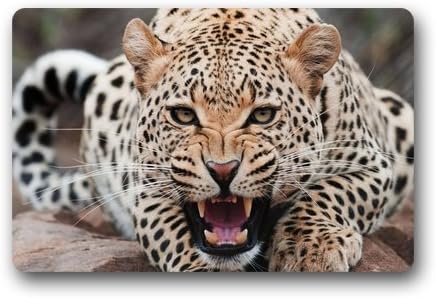 Custom Decorative Animal Leopard Zebra Print Doormat for Drying Wet Feet, Grabing Dirt and Dust