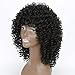 MISSQUEEN Synthetic Afro Curly Hair Wigs for Black Woman Short Kinky Hair Black Heat Resistance Fiber 14