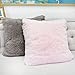Homey COZY Faux Fur Throw Pillow Cover,Lavender Pink Double-Side Luxury Fluffy Super-Soft Plush Fur Decorative Couch Cushion Pillow Case 20 x 20 Inch, Cover Only