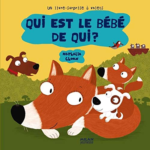 Qui Est Le Bebe De Qui Mil Eveil Diver Jacquet Joseph Weil Nathalie Amazon Com Books