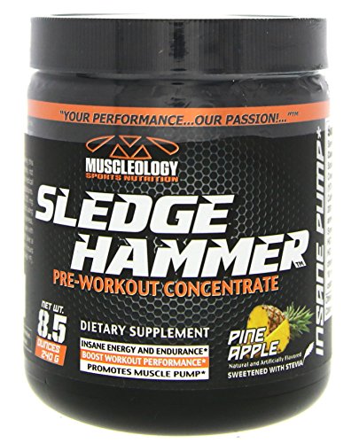 Muscleology Sports Nutrition Sledge Hammer Pre Workout Concentrate Pineapple 8 5oz Buy Online In Bermuda At Desertcart 11663127