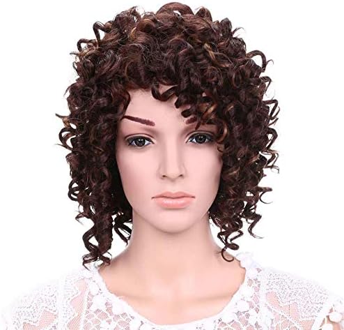 Rose Net Curly Hair Wig,Mamum Glueless Resistant Rose hair net Front Women Brown Curls Hair Full Wig