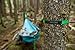Grand Trunk Tree Trunk Straps - Hammock Suspension System with Colorful Adjustable Hammock Straps