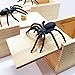 GIIOASA Rubber Spider Prank Surprise Box，Handcrafted Wooden Surprise Box, Fun Practical Surprise Joke Boxes,SpiderBox-Single