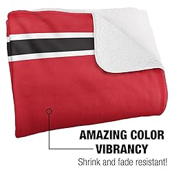 University of Hartford Hawks Primary Logo Stripes