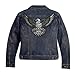 VEGASBEE® American Bald Eagle US National Symbol Jacket Vest Large Embroidered Iron-ON Patch 12