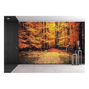 Pathway in The Autumn Park - Removable Wall Mural | Self-Adhesive Large Wallpaper - 66x96 inches