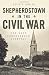 Shepherdstown in the Civil War:: One Vast Confederate Hospital by Kevin R. Pawlak