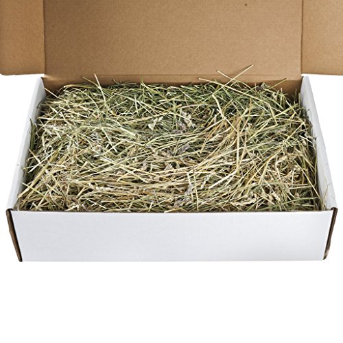 Small Pet Select Oat Hay Pet Food, 10 lb.