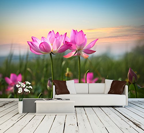 - Beautiful Lotus Flower in Blooming at Sunset -