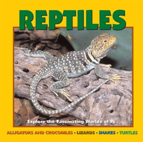 Reptiles (Our Wild World)