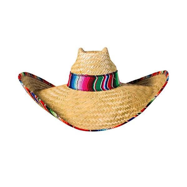Windy City Novelties Sombrero Hat for 