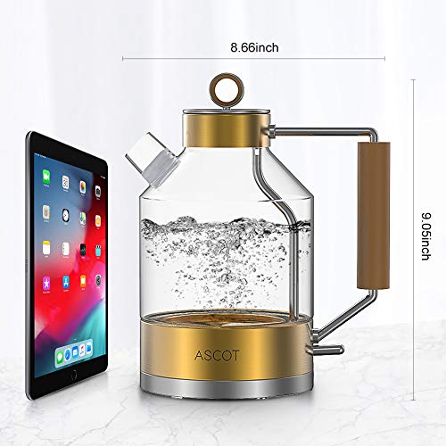 Electric Kettle, ASCOT Electric Tea Kettle 1.6L 1500W Glass Electric