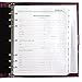 Day-Timer Undated Loose-Leaf Starter Set, Size 5, Traditional, 8.5 x 11 Inch Page Size, Purple (70307)