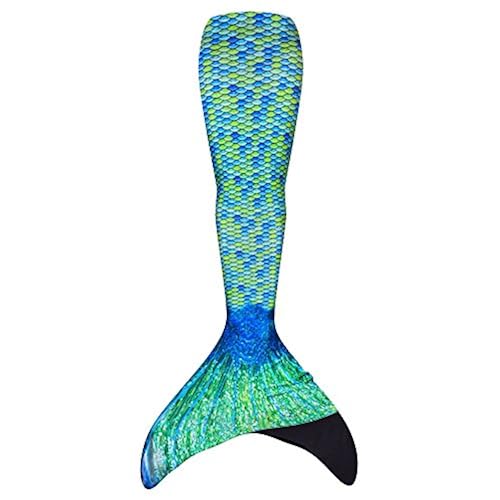 Sports & Outdoors, Sports & Fitness, Swimming, Training Equipment, Training Fins