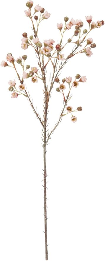 Amazon ポピー Popy 造花 ドライドワックスフラワー モーブ 全長57cm 花径1 8cm Fa 71mav 造花 オンライン通販 Amazon ポピー Popy 造花 ドライドワックスフラワー モーブ 全長57cm 花径1 8cm Fa 71mav 造花 オンライン通販