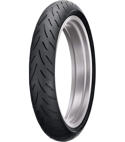 Amazon.com: Dunlop Sportmax GPR-300 Rear Tire (160/60ZR-17