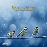 Birds in your Garden by 