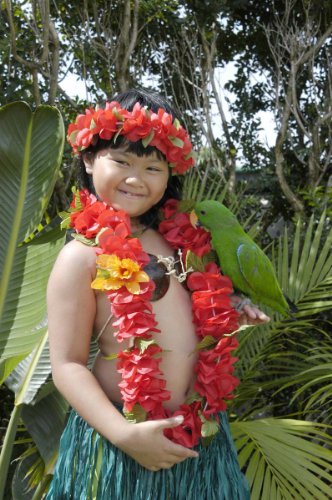 The Red Hawaii Elastic Headband