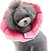 Alfie Pet by Petoga Couture - Noah Recovery Collar (for Dogs and Cats) - Pattern: Pink Pom Pom, Size: Small