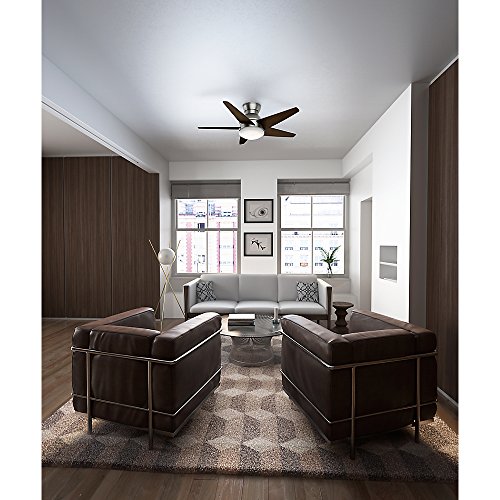Casablanca 59019 Isotope 44 Inch Ceiling Fan With Five Import It All