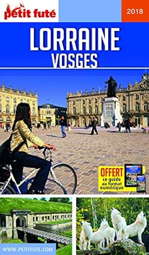 Download Guide Lorraine 2017-2018 Petit Futé PDF