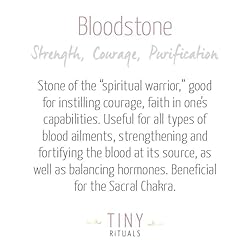 Tiny Rituals BLOODSTONE ENERGY BRACELET