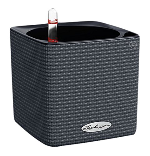 Lechuza 13384 Cube Color 14 Self-Watering Garden Planter, Slate