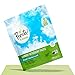 An Amazon Brand - Presto! 94% Biobased Laundry Detergent Packs, Fresh & Herbal Scent, 90 Loads (2-pack, 45 each)