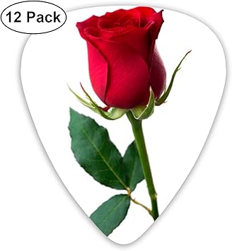 Amazon Com Guitar Picks Red Rose Psd Sampler Guitar Picks 12