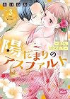陽だまりのアスファルト ～姐さん、はじめました～ 第3巻