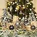 Sea Team Shatterproof Clear Plastic Christmas Ball Ornaments Decorative Xmas Balls Baubles Set with Stuffed Delicate Decorations (60mm/2.36 inch 30-Pack, Black)