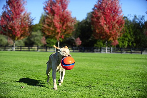 Chuckit! Kick Fetch Ball Dog Toy - Floats in Water - Perfect for Interactive Play - Made with Durable Rubber and Foam - For Large Dogs - Size Large - 8-inch Diameter - Pack of 1
