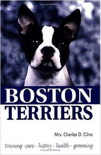 Boston Terriers (KW Dog) �y�[�p�[�o�b�N - 1997/6/1