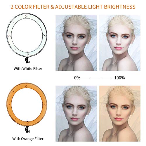 1 MOUNTDOG+Ringlight+Dimmable+Continuous+Temperature