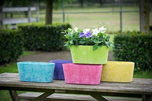 Artstone Pflanzgefäß Balkonkasten Claire, frostbeständig und leichtgewichtig, Pink, 38x16x17cm – Bild 4