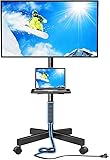 Kusport Mobile TV Stand for 23-60 Inch LCD LED