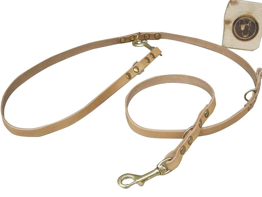 Handsfree Leather Dog Lead Ideal for Training or Walking Tan Leather
