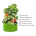 GEMGO Potato Grow Bags 3 Pack, 15 Gallon Aeration Fabric Garden Boxes Planter Pot with Flap and Handles, Vegetable Peanut Growing Box Bucket Pot for Nursery Garden (Green)thumb 2