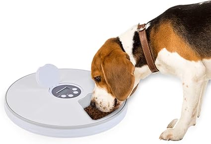 Jnzr Pet Timed Feeder Cat Bowl 6 Meals Design Programmable With