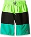 Speedo Boy's Swim Trunk Knee Length Blocked Volley