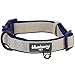 Blueberry Pet 2 Colors Soft & Comfy Made Well Classic Neoprene Padded Adjustable Dog Collar, Beige, Large, Neck 18-26\
