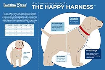 happy harness