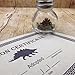 Stegosaurus Dinosaur Desk Pet with Certificate