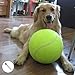 Large Dog Tennis Ball,9.5
